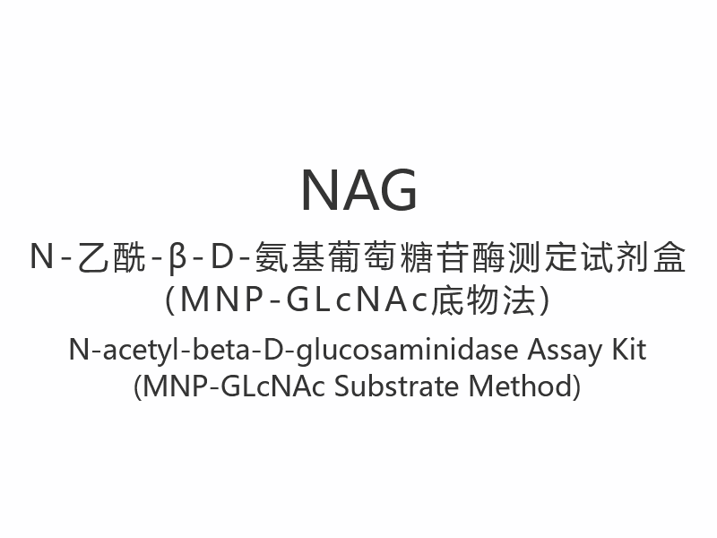 【NAG】N-acetyl-beta-D-glukosaminidáza Assay Kit (MNP-GLcNAc Substrátová metoda)