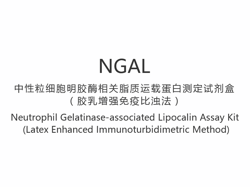 【NGAL】 Souprava lipokalinového testu spojená s neutrofilní gelatinázou (Latex Enhanced Immunoturbidimetric Method)