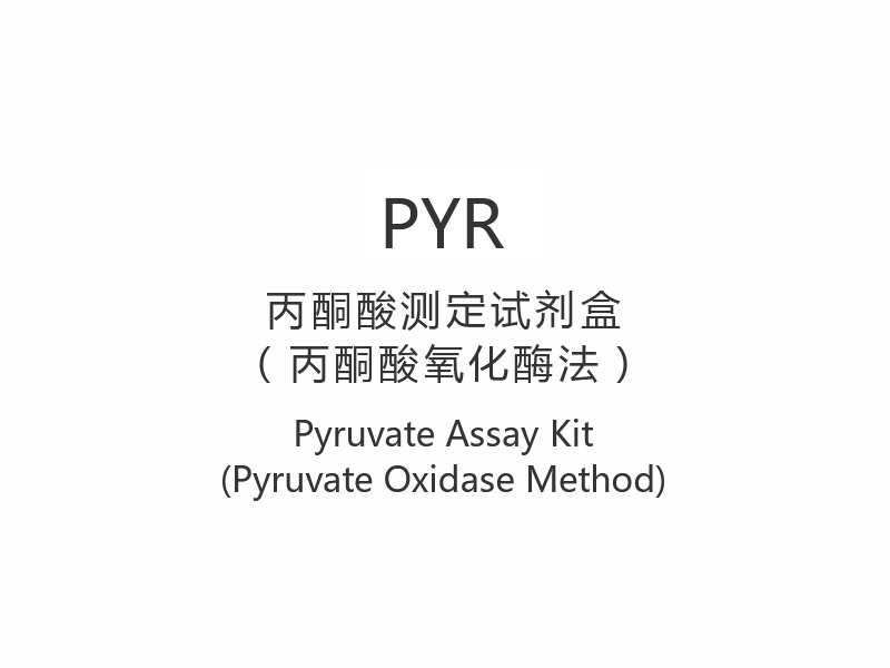 【PYR】Sada pro stanovení pyruvátu (metoda pyruvátoxidázy)